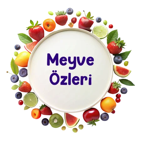 Meyve Özü